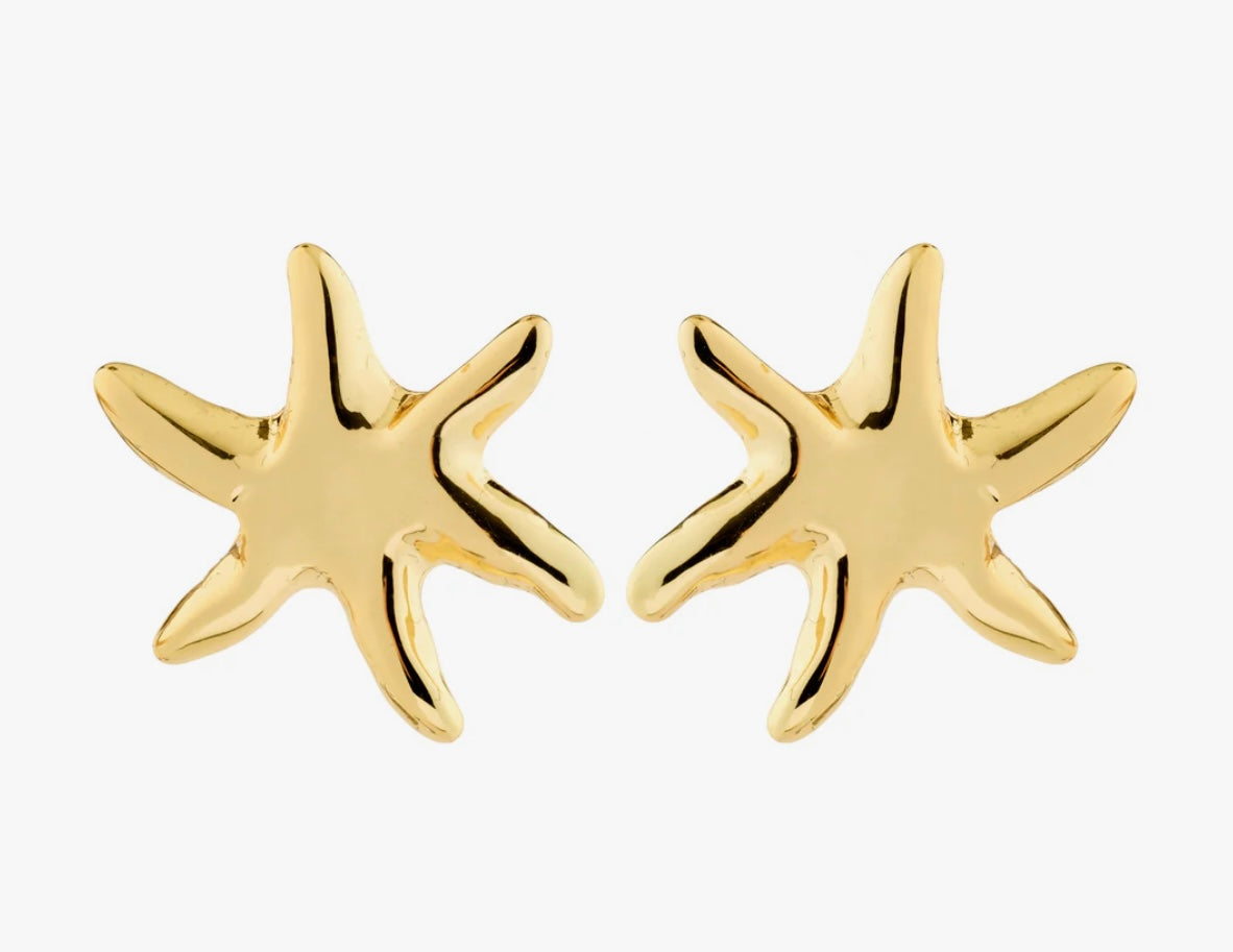 PRISM earrings