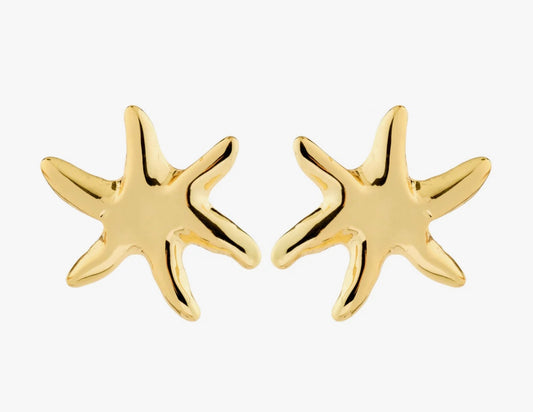 PRISM earrings