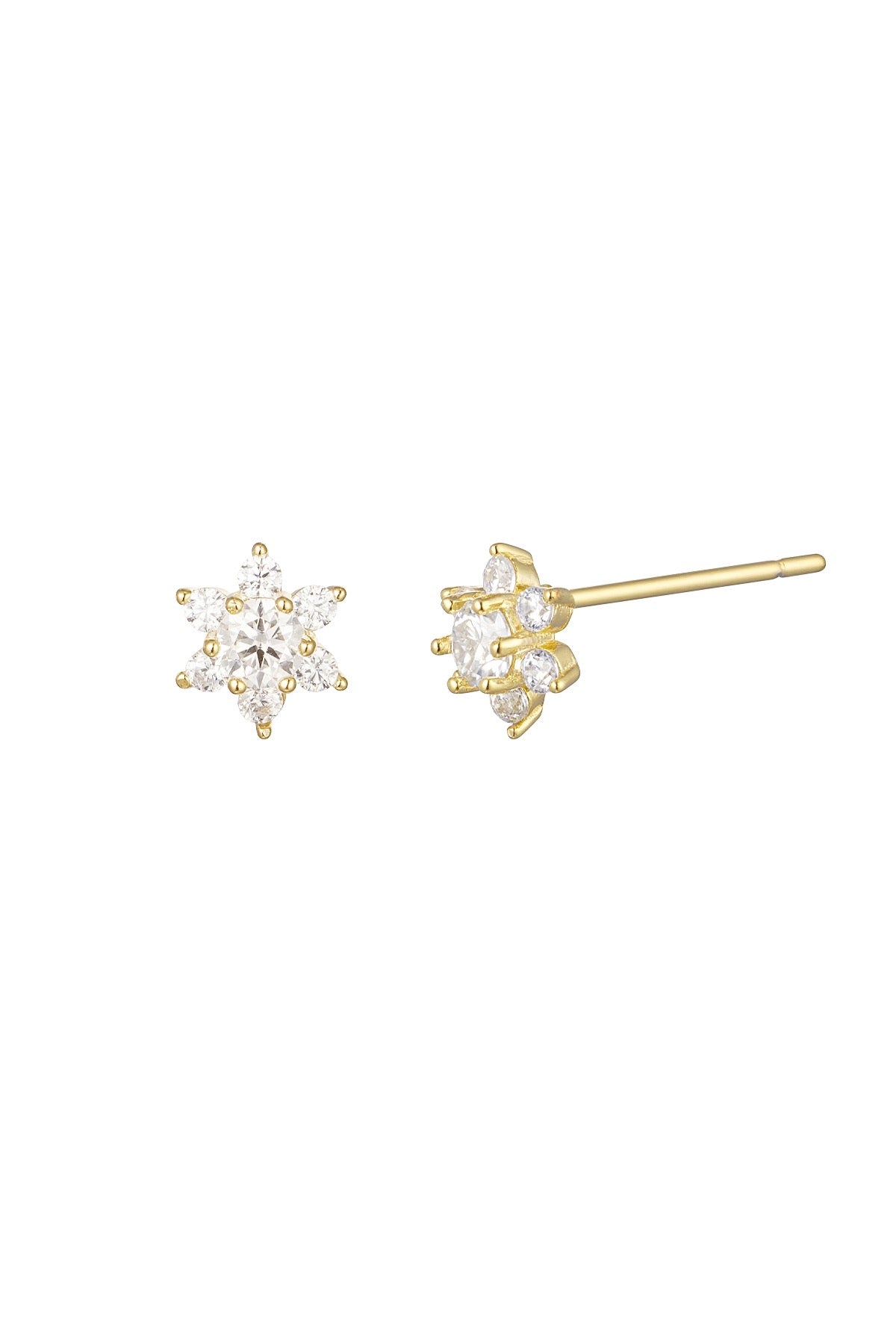 Ear studs star stone